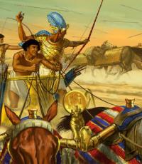 Воины фараона: кто сражался за великий Египет (8 фото)